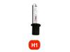 Xenon lampa H1 6000K