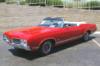Oldsmobile Cutlass Supreme Convert