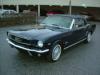 Ford Mustang convert