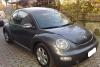 Volkswagen Beetle New Beetle 1.9 TDI 101